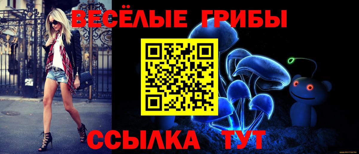 Галлюциногенные грибы Magic Shrooms  Вход с VPN  Улан-Удэ  Псилоцибиновые грибы Psilocybe 